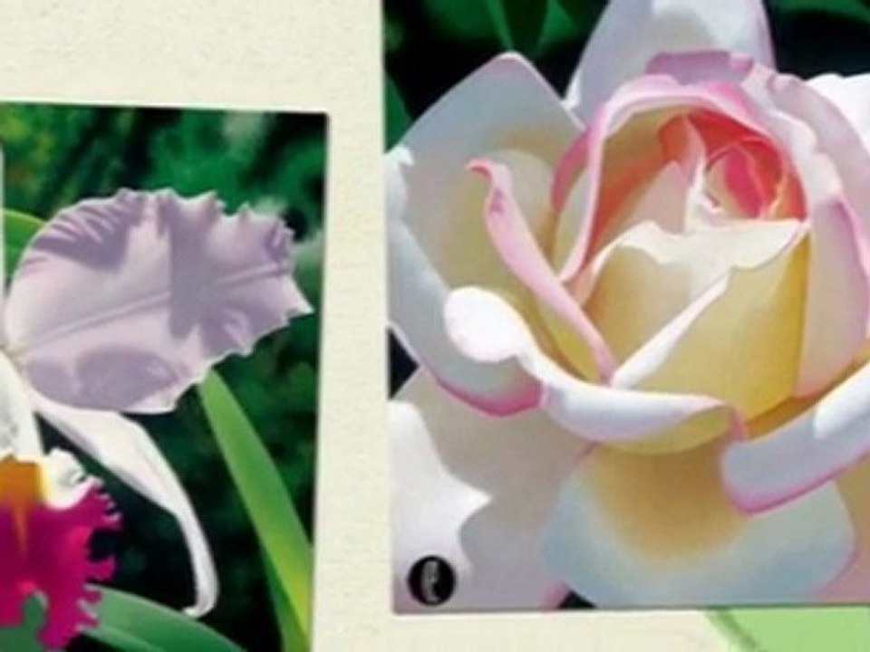 Amour d' Art features Brian Davis