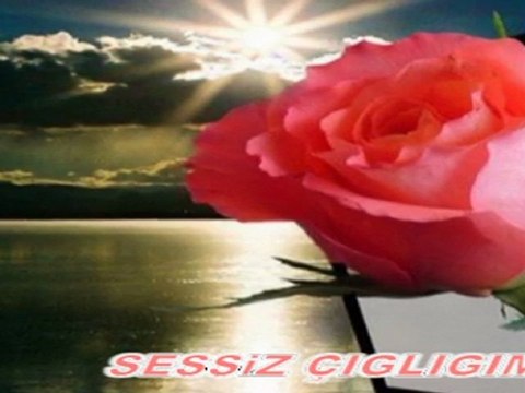 DOSTUN BİR GÜLÜ YARELER BENİ HASRET GÜLTEKİN