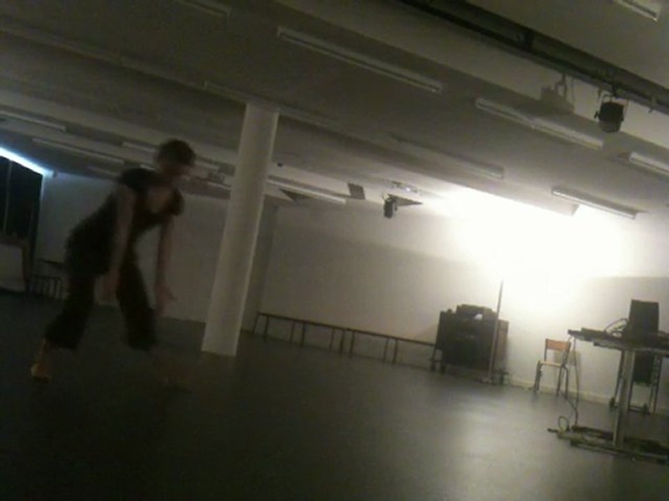 marie cambois et antoine arlot - swedish suicide impulse - session de travail