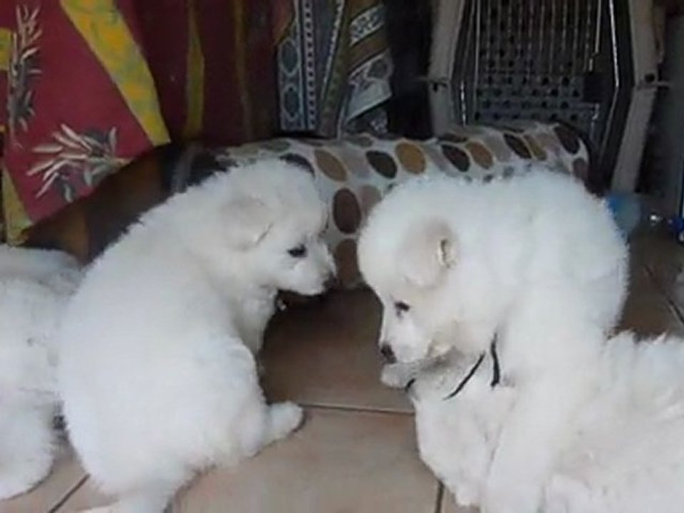 Bébés Daelynn &  Heaven