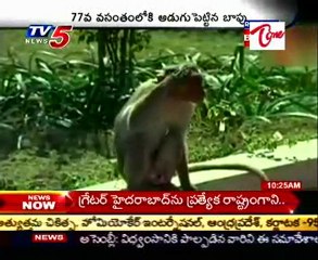 Director Bapu Birthday special