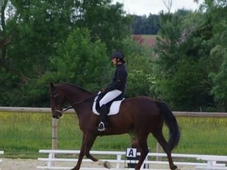 Concours dressage 15.05.11 à Magny-Cours