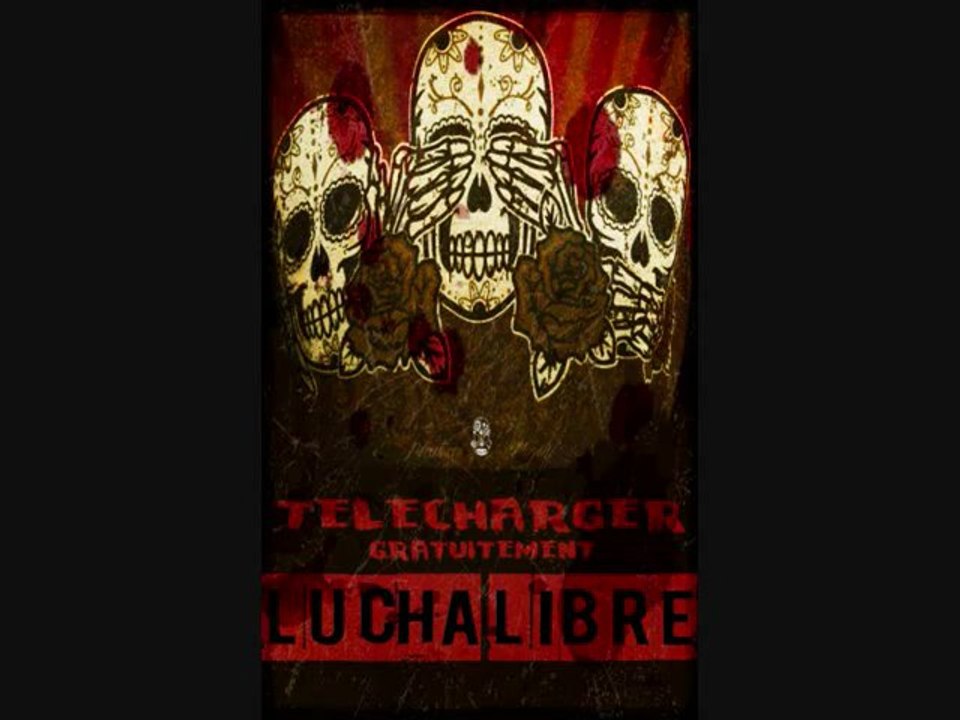 HDI- LUCHA LIBRE (2011)