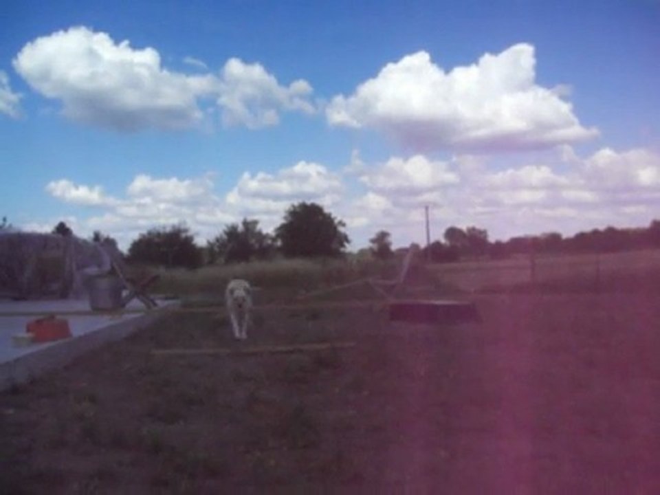 Agility