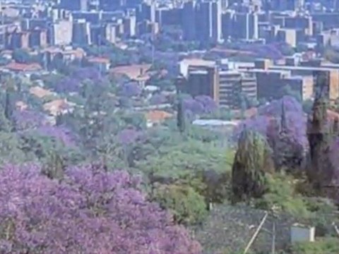 Fußball-Weltmeisterschaft 2010 - Pretoria - Südafrika