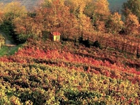 Langhe - Piemonte - Italien