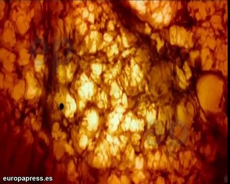 Jude Law y Uma Thurman en el jurado de Cannes