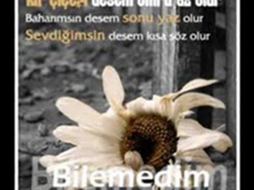 Acun Özel Bilemedim yazan Gizem Alysa yeni 2011