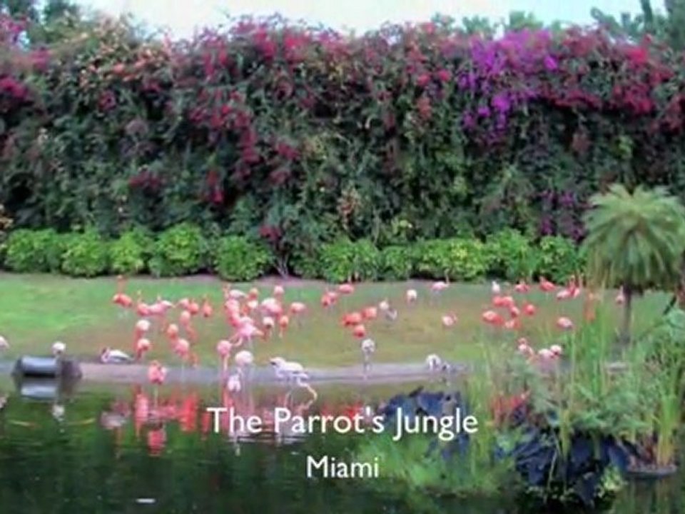 Miami