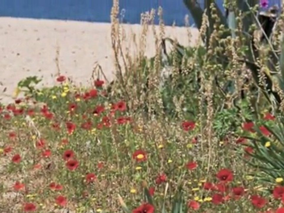 Córcega playas