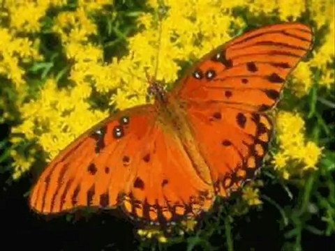 RELAKSUJACY DLA PRZYJACIÓL