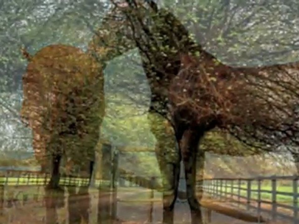 England