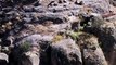 Barrancas del Cobre - México