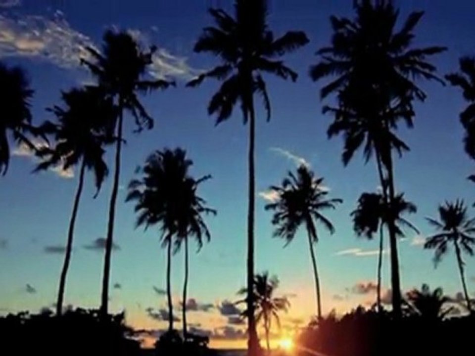 Palm Beach - Maldivas