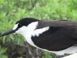 Eco Tourism  Seychelles