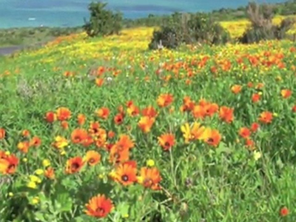 Sud Africa