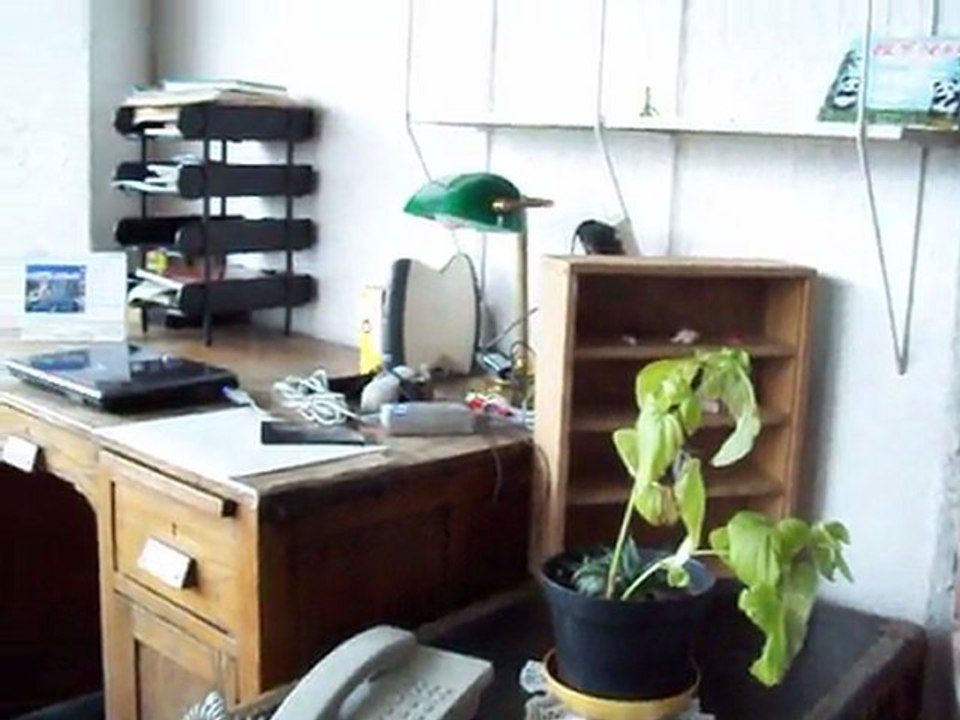 fotos videos animales 001.MOV