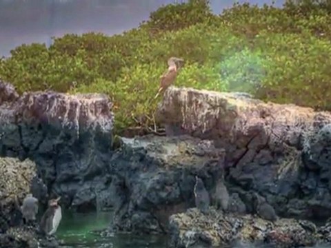 Las islas Galápagos archipiélago de Colón - Equador - Patrimonio de la Humanidad por la Unesco