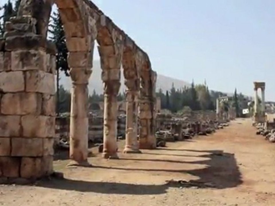 Libano - Terra dei cedri