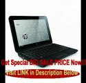 BEST PRICE HP Mini 210-1030NR 10.1-Inch Black Netbook - 9.75 Hours of Battery Life