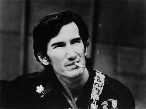 Townes Van Zandt - The Hole