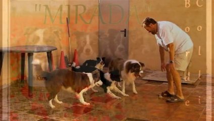 BOMBAZO jolulodi también esta triste y no celebra los goles.....