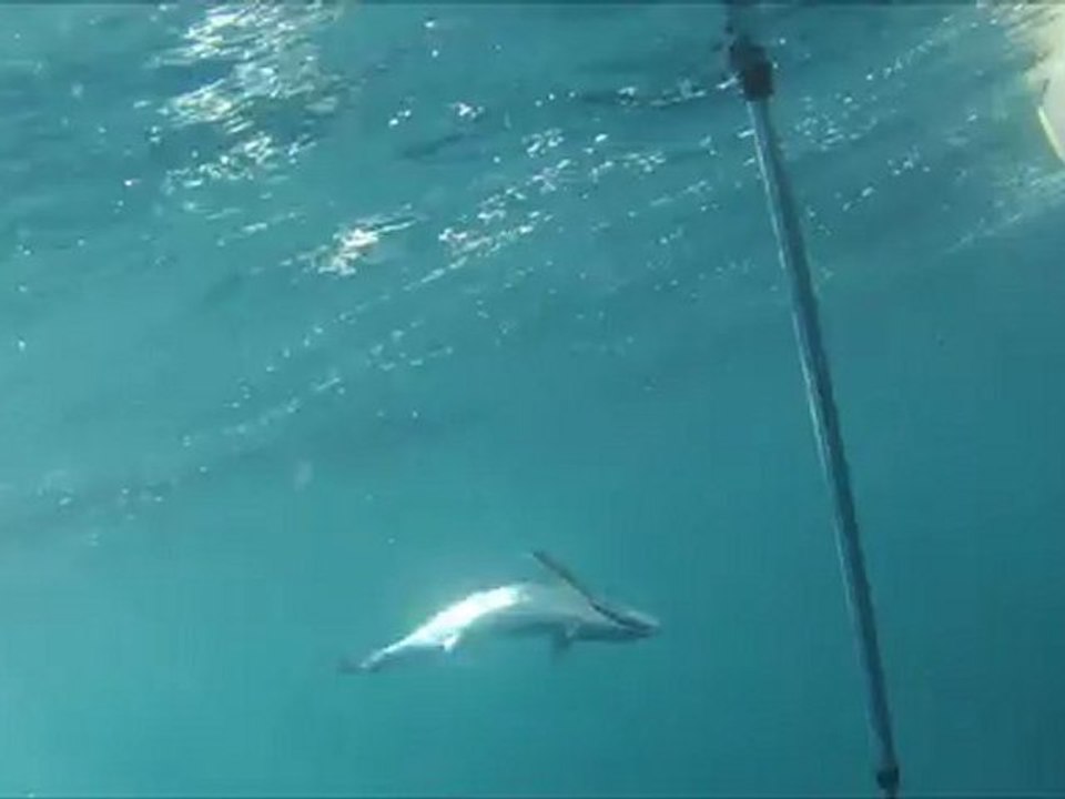 Pêche à Capbreton