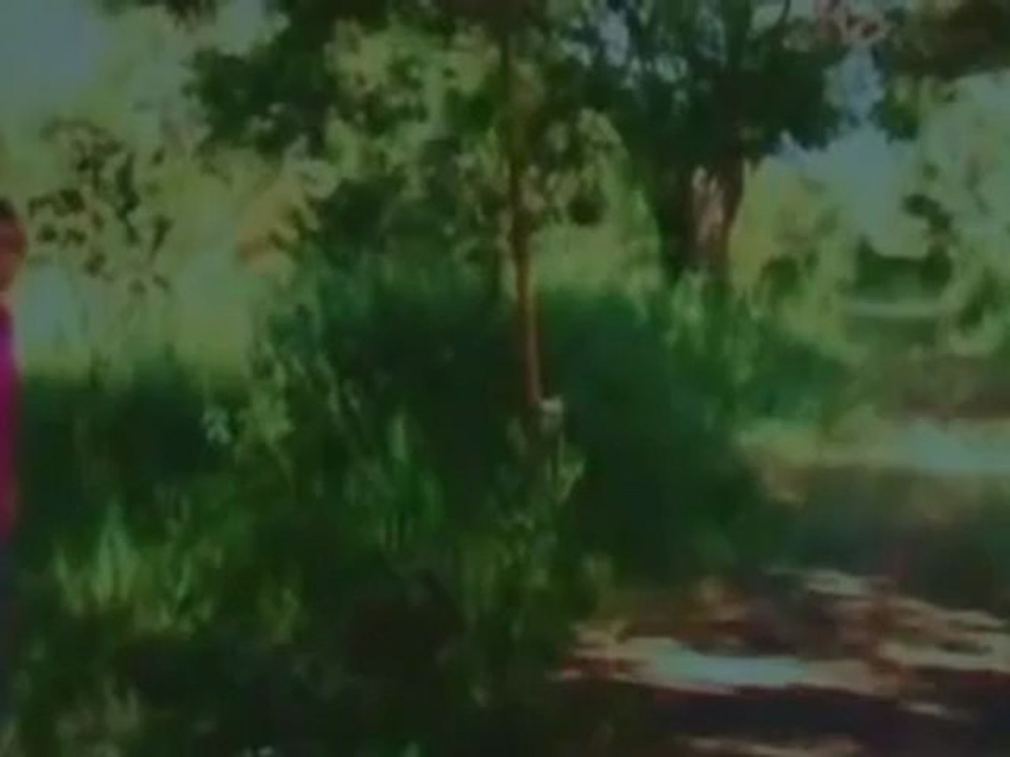 Kalla Parunthu
