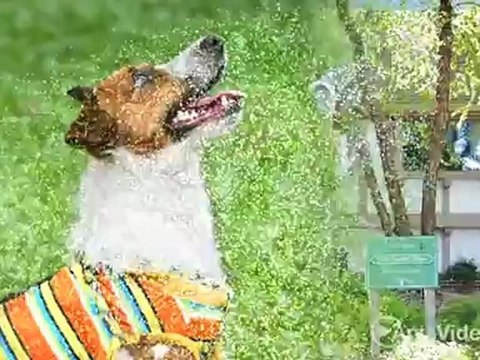 Olde English Village Apartments in West Des Moines, IA - ForRent.com