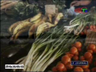 Célébration de la journée internationale de la protection de la couche d’ozone