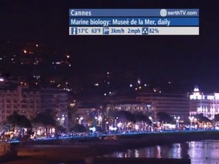 Cannes - France, Dresden - Germany, Washington - USA, Vienna - Austria, Kyiv - Ukraine, Munich - Germany, Doha - Qatar