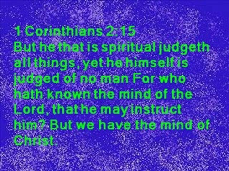 DAILY IN  CHRIST - 204