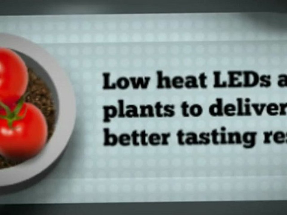 LED vs HID Lights