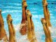 London 2012_ Synchronized Swimming