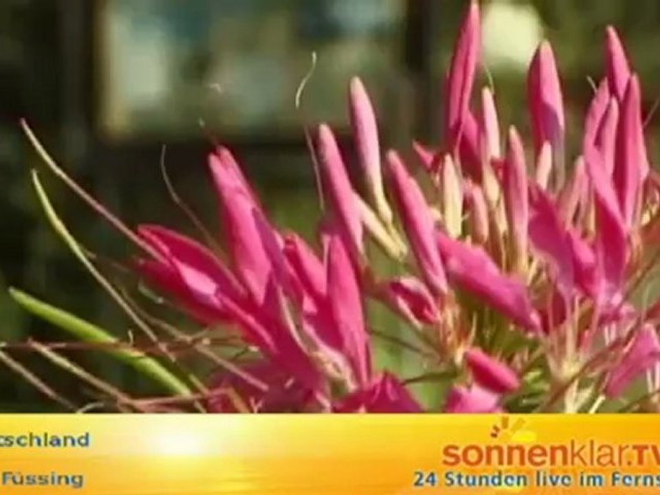 Bad Füssing (Sommer)