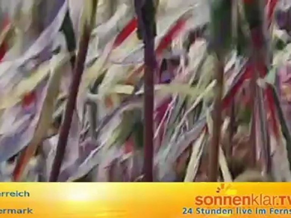 Steiermark allgemein Sommer