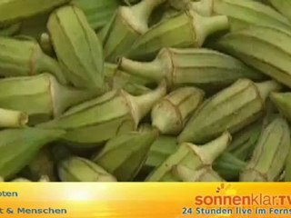 Destinationszuspieler Ägypten (Stadt & Menschen)