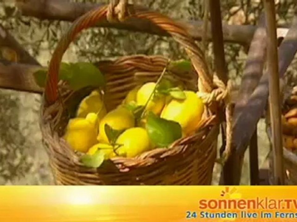 Destinationszuspieler Mallorca (Inland)