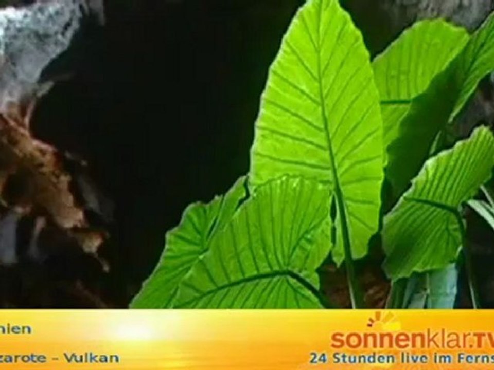 Destinationszuspieler Lanzarote (Vulkan)