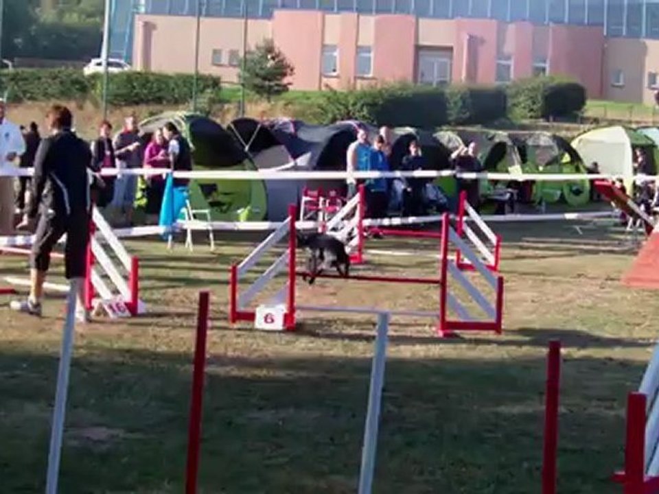 Taiga, Epagneu l breton, agility, falck 2012,Open