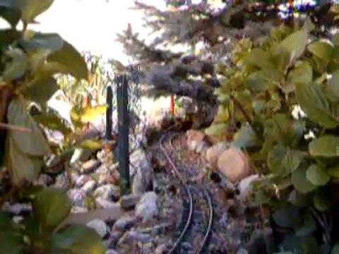 AUTORAIL BILLARD TRAIN DE JARDIN LGB