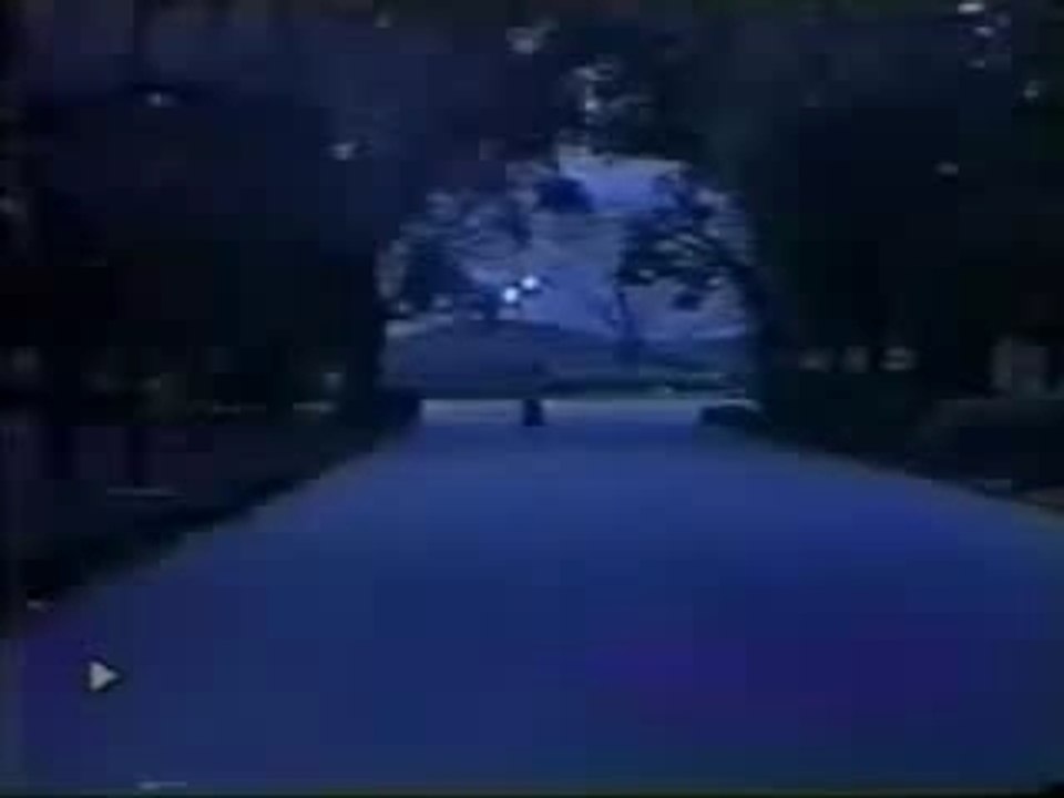 Cybercops25