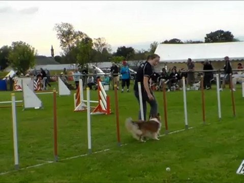Concours agility Noémie et Daisy