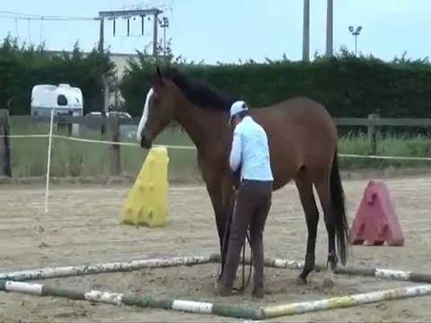 Concours Equifeel Marcoussis 10 06 2012
