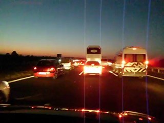 kuzgun  luların  Ramazan bayramı  yolculuğu