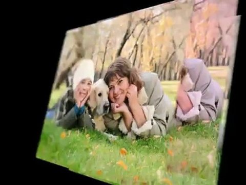 Pet Trust Services in Portland OR - Law Offices of Richard B. Schneider, LLC