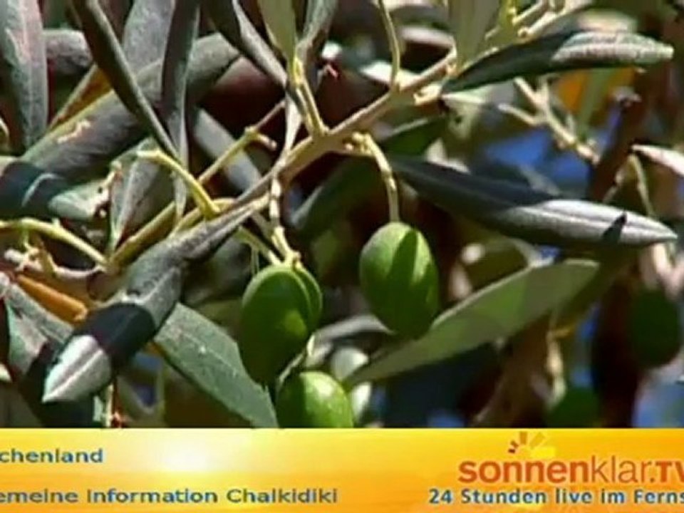 Chalkikdiki allgmein (Land & Leute )