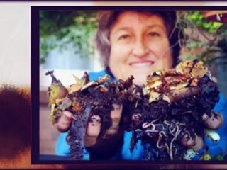 How To Worm Farming - Simple Steps (ebook)