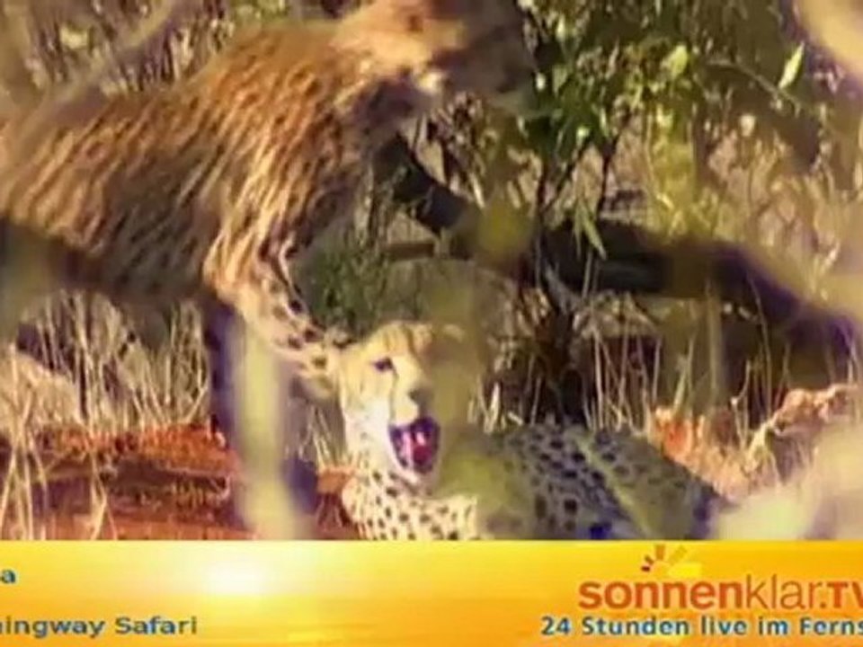 Tipp Kenia - Hemingway Safari