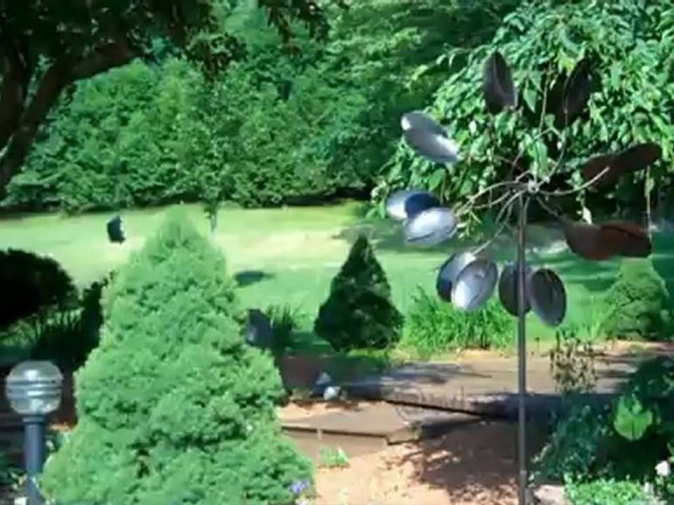 30 Seconds of Peace: The Backyard